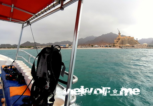 Diving in the Oman Gulf